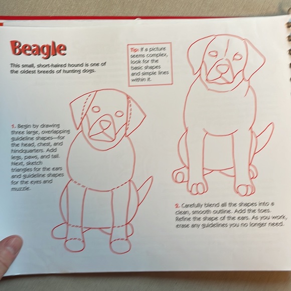 🌈2/$8  The Big Book of Drawing Dogs and Cats - Picture 9 of 12